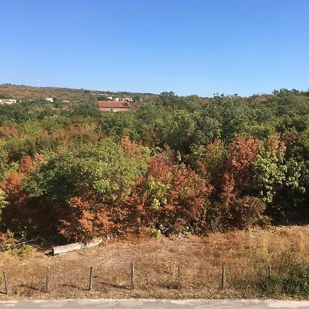 Mitra 아파트